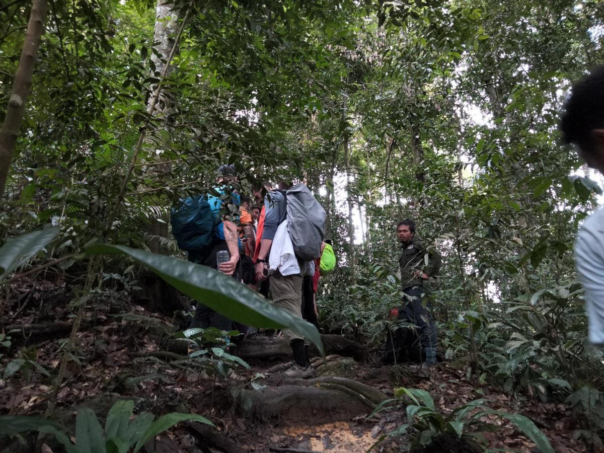 Asim Paris Guesthouse & Jungle Trekking Bukit Lawang Εξωτερικό φωτογραφία