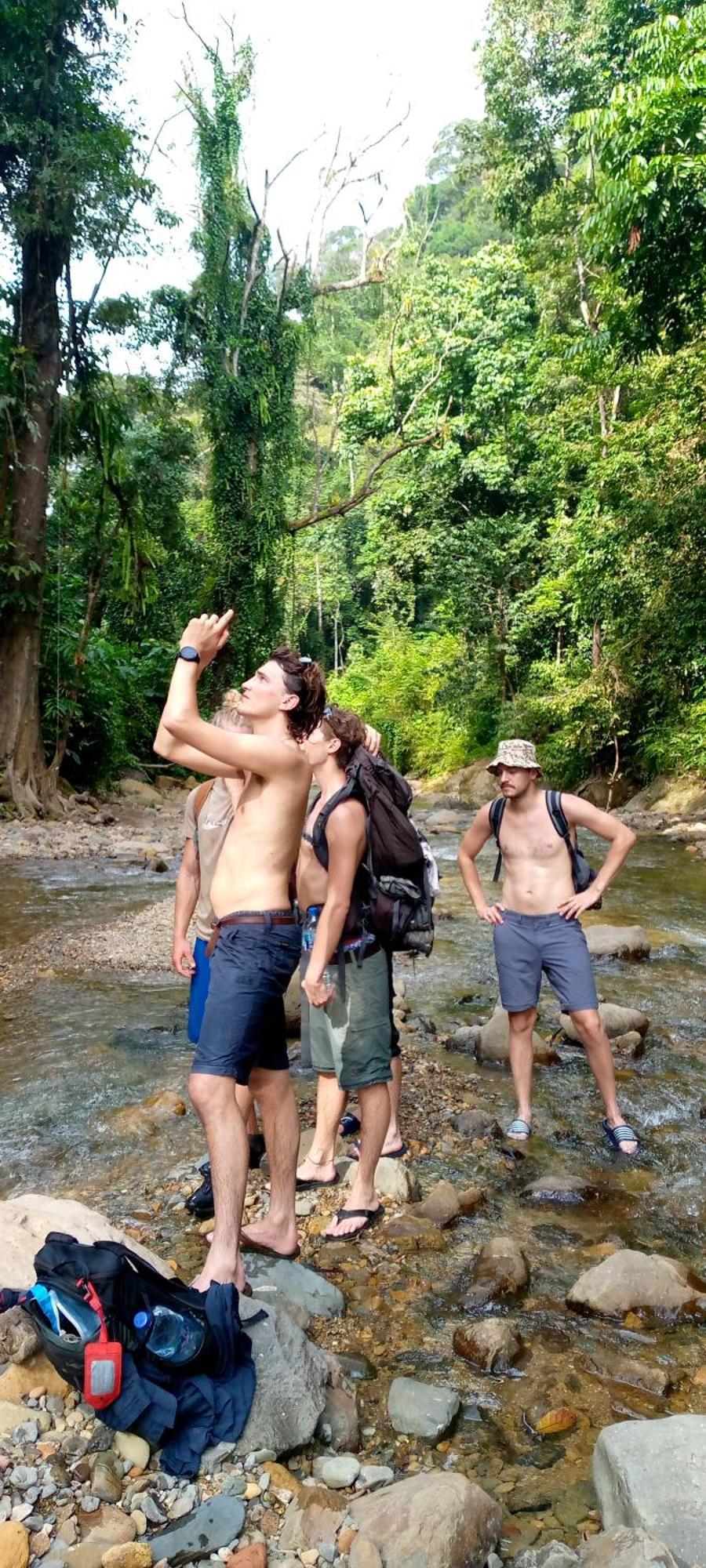 Asim Paris Guesthouse & Jungle Trekking Bukit Lawang Εξωτερικό φωτογραφία