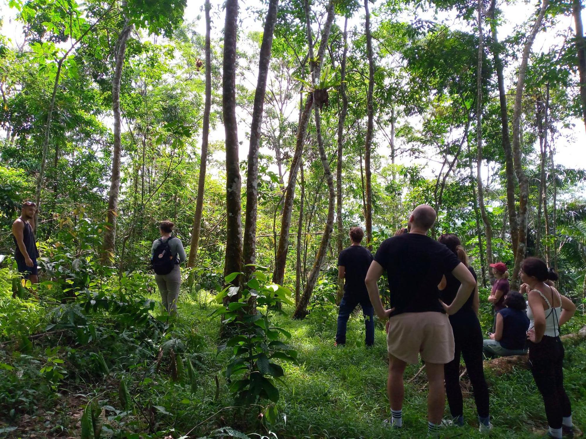Asim Paris Guesthouse & Jungle Trekking Bukit Lawang Εξωτερικό φωτογραφία