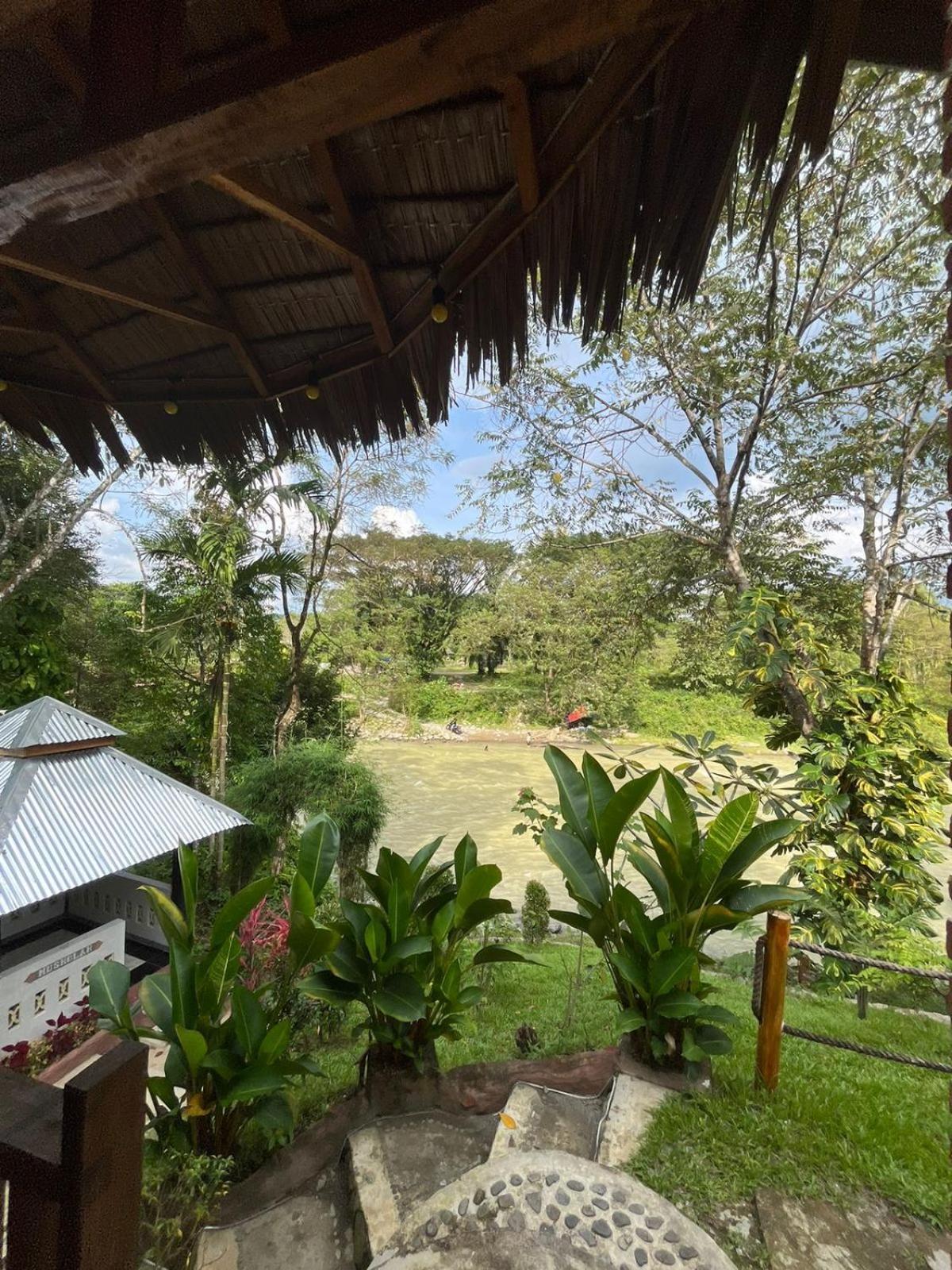 Asim Paris Guesthouse & Jungle Trekking Bukit Lawang Εξωτερικό φωτογραφία