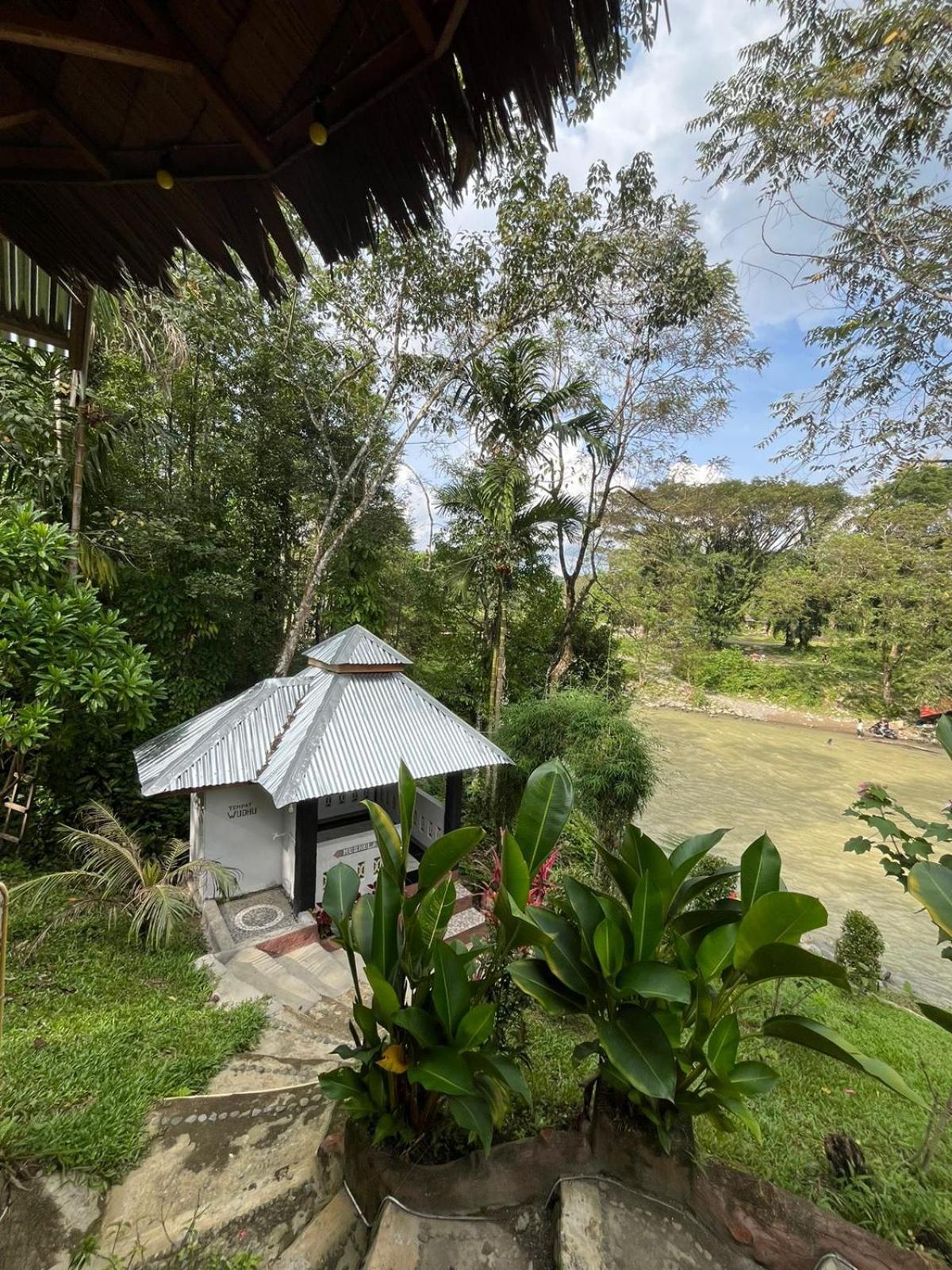 Asim Paris Guesthouse & Jungle Trekking Bukit Lawang Εξωτερικό φωτογραφία