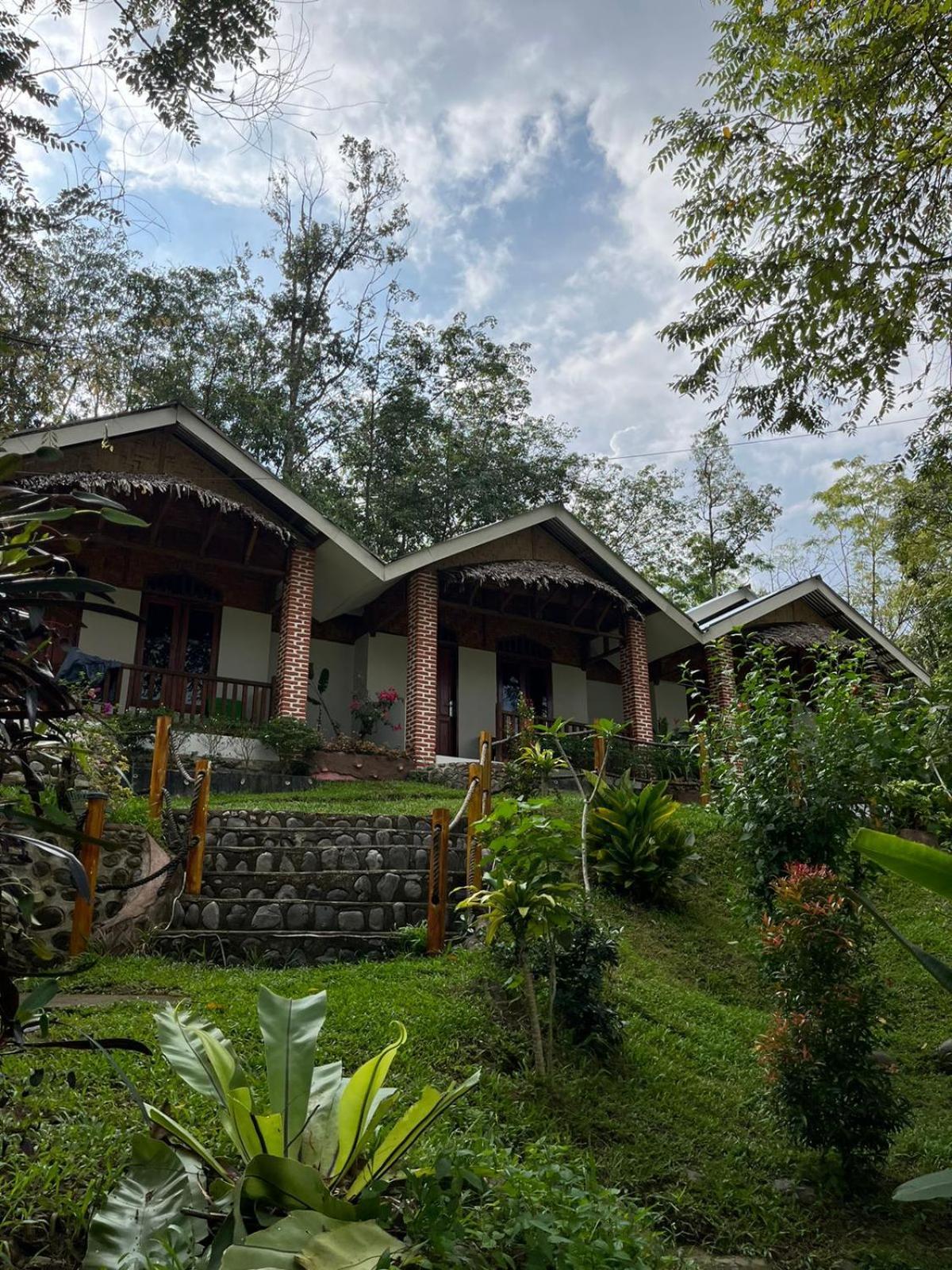 Asim Paris Guesthouse & Jungle Trekking Bukit Lawang Εξωτερικό φωτογραφία