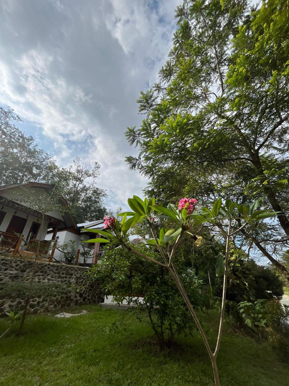 Asim Paris Guesthouse & Jungle Trekking Bukit Lawang Εξωτερικό φωτογραφία