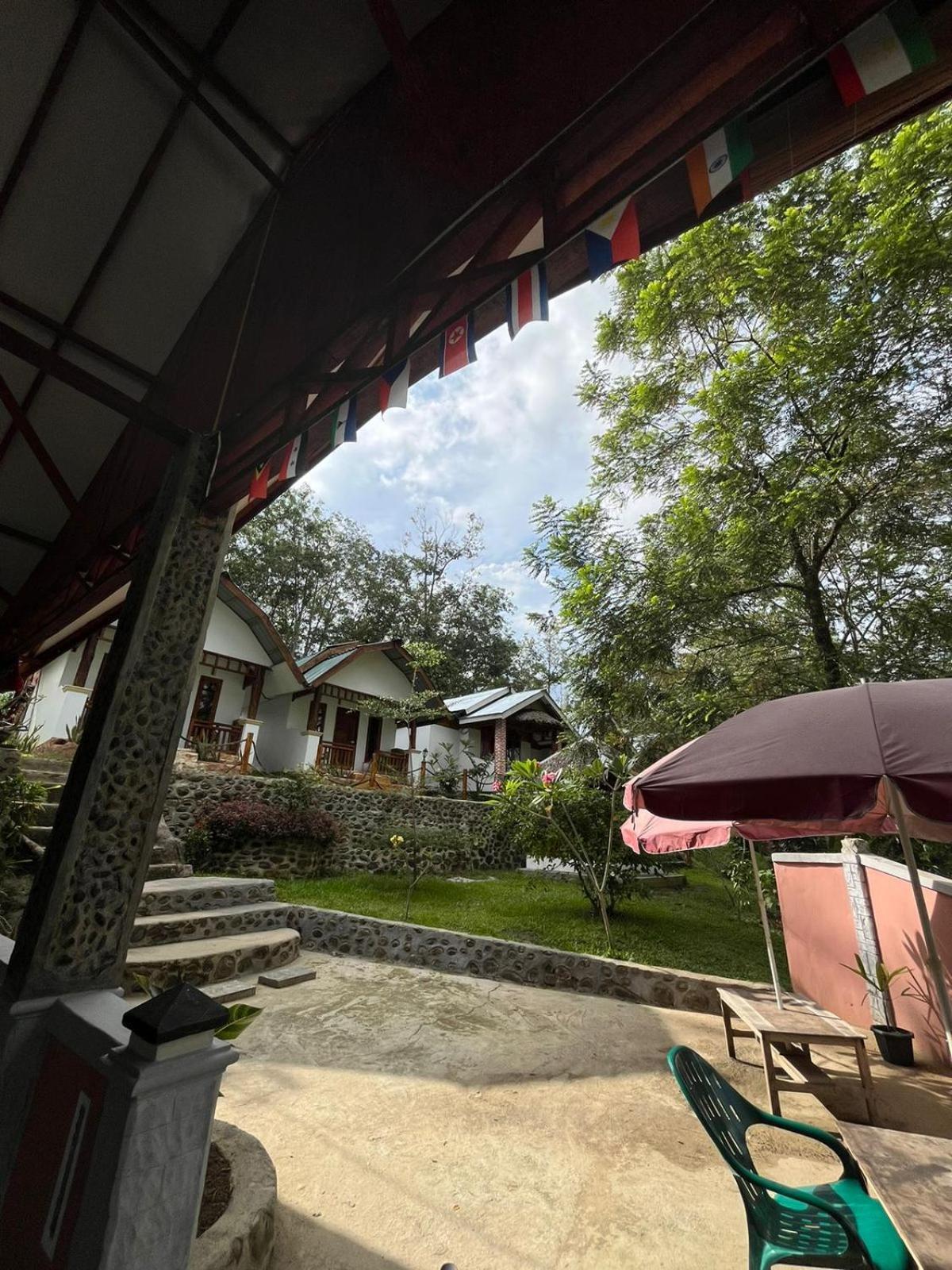 Asim Paris Guesthouse & Jungle Trekking Bukit Lawang Εξωτερικό φωτογραφία