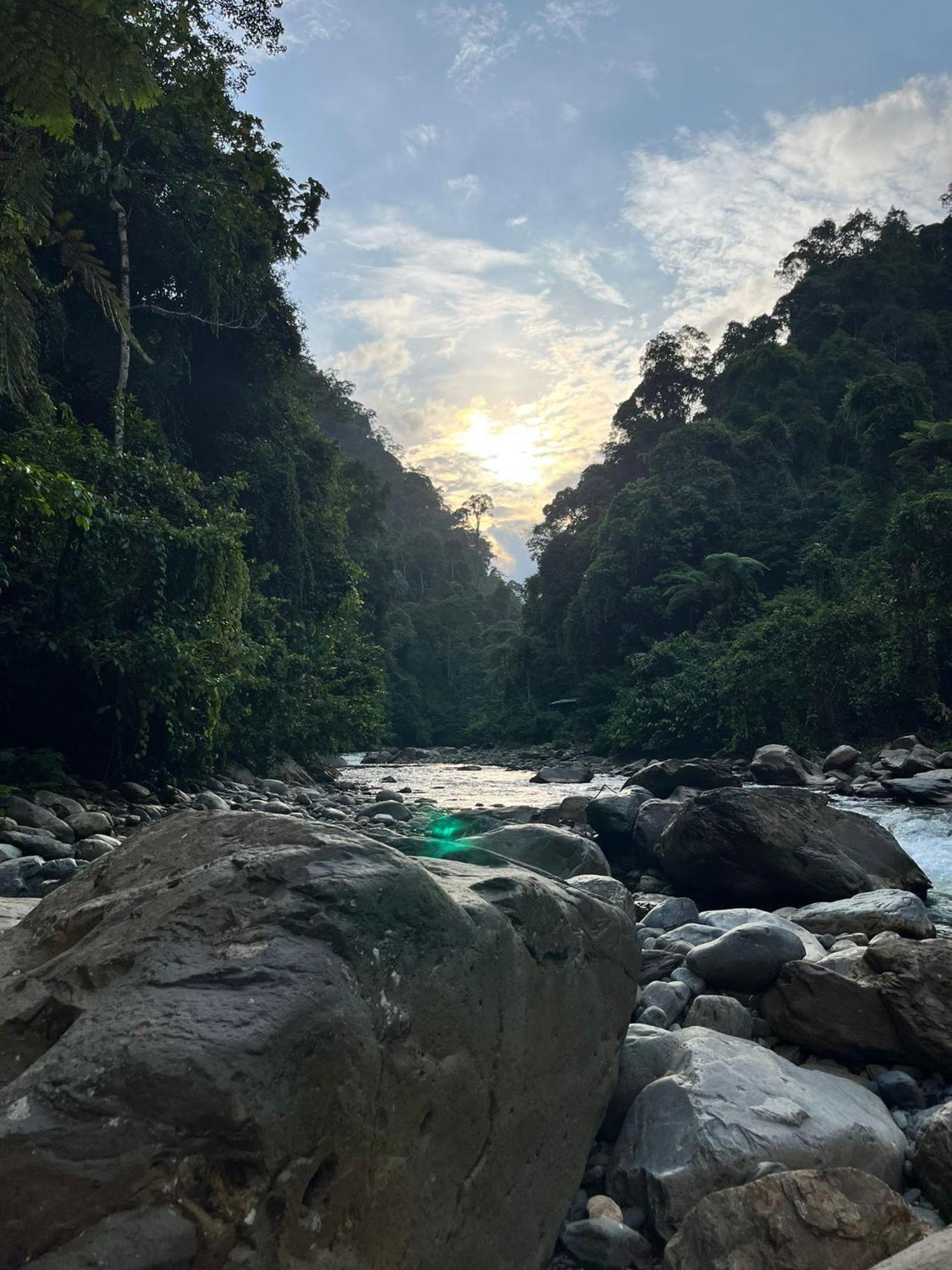 Asim Paris Guesthouse & Jungle Trekking Bukit Lawang Εξωτερικό φωτογραφία