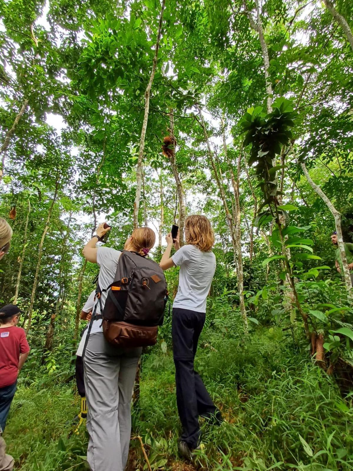 Asim Paris Guesthouse & Jungle Trekking Bukit Lawang Εξωτερικό φωτογραφία