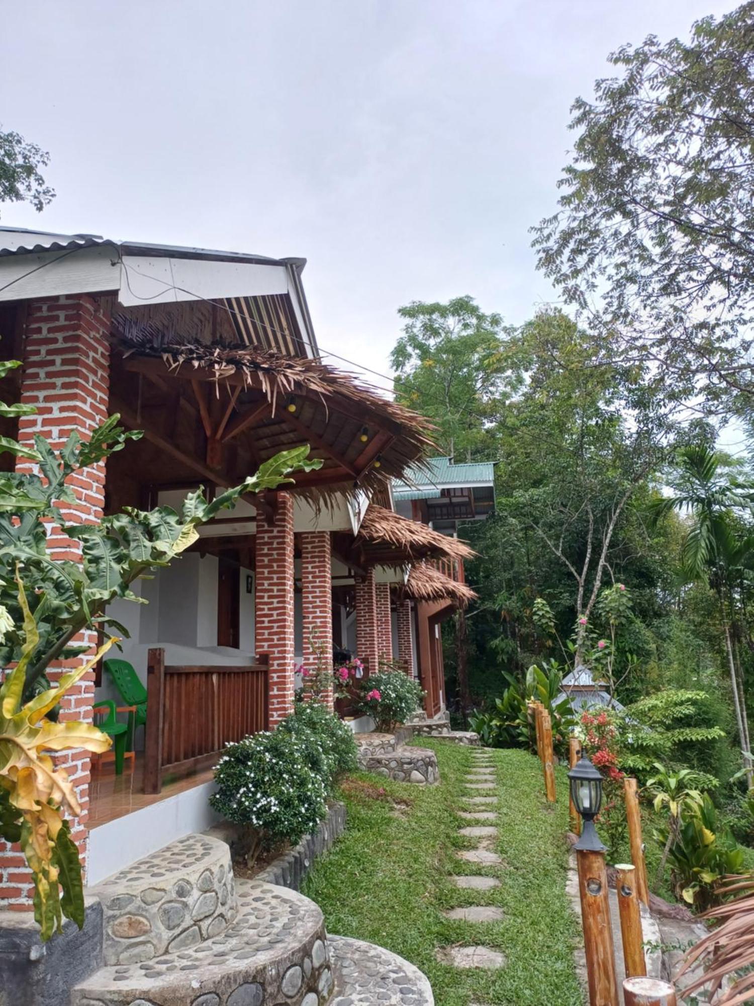 Asim Paris Guesthouse & Jungle Trekking Bukit Lawang Εξωτερικό φωτογραφία