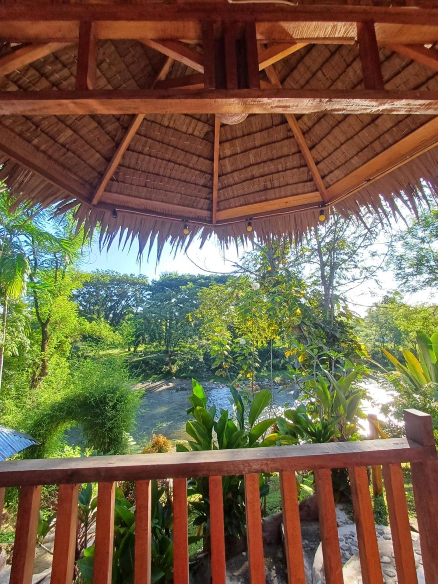 Asim Paris Guesthouse & Jungle Trekking Bukit Lawang Εξωτερικό φωτογραφία