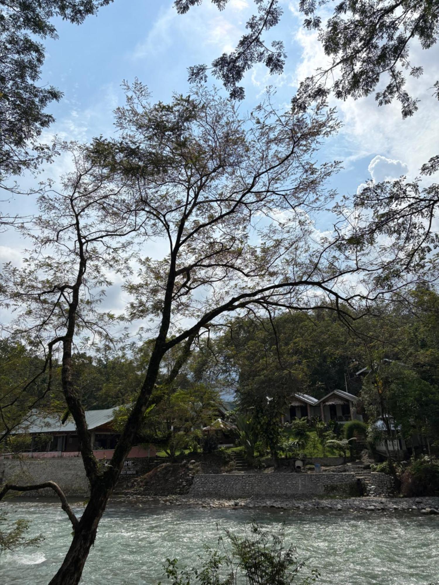 Asim Paris Guesthouse & Jungle Trekking Bukit Lawang Εξωτερικό φωτογραφία