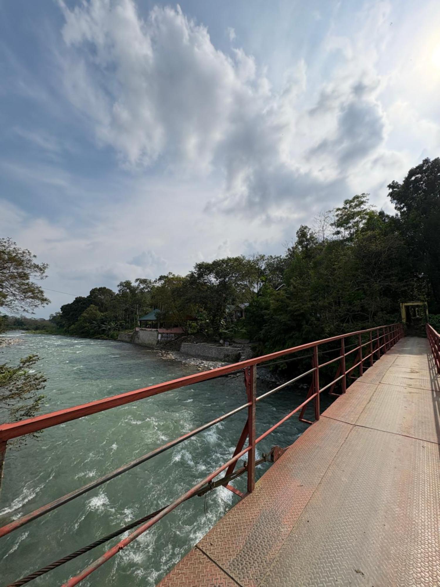 Asim Paris Guesthouse & Jungle Trekking Bukit Lawang Εξωτερικό φωτογραφία