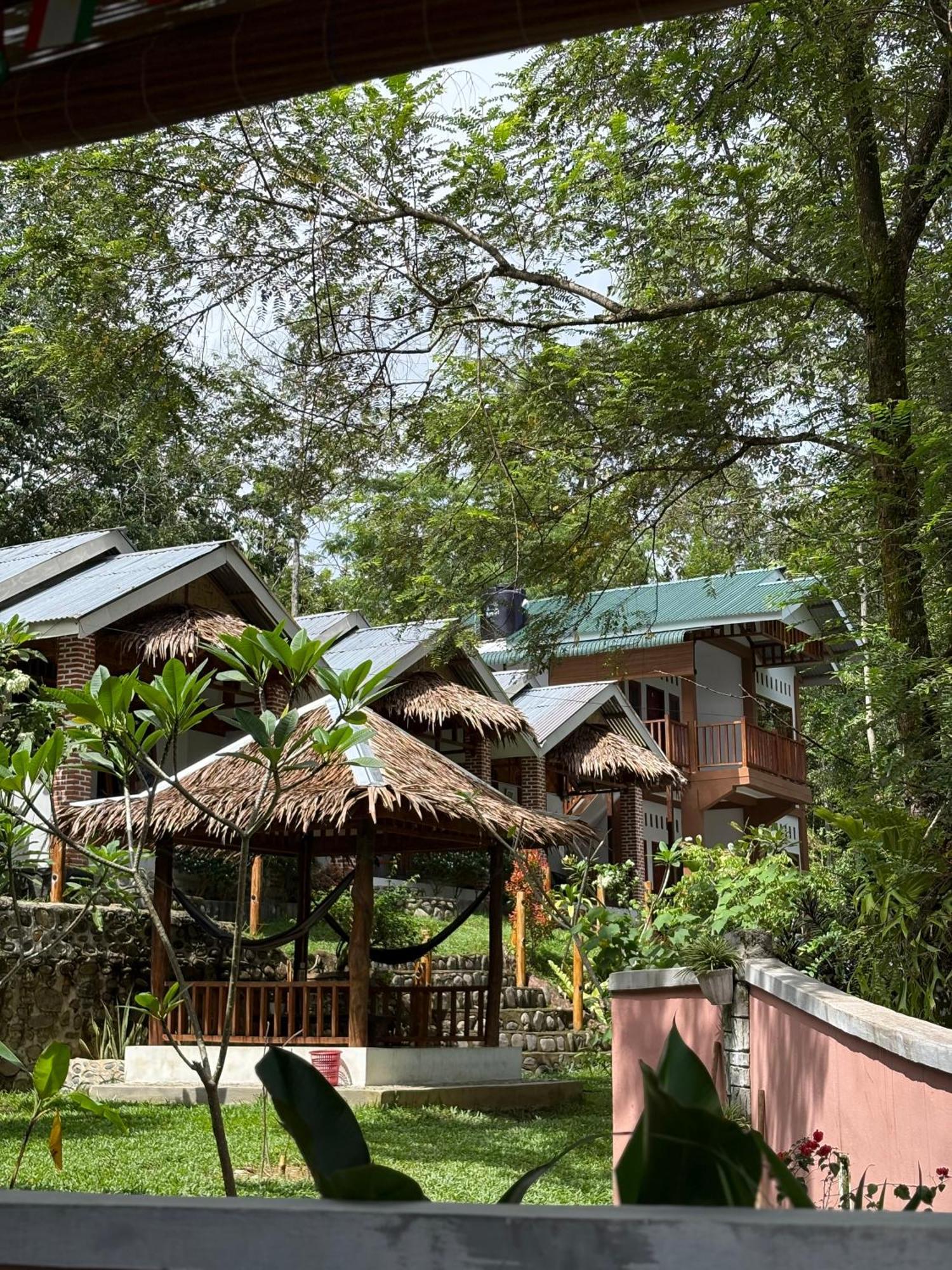 Asim Paris Guesthouse & Jungle Trekking Bukit Lawang Εξωτερικό φωτογραφία